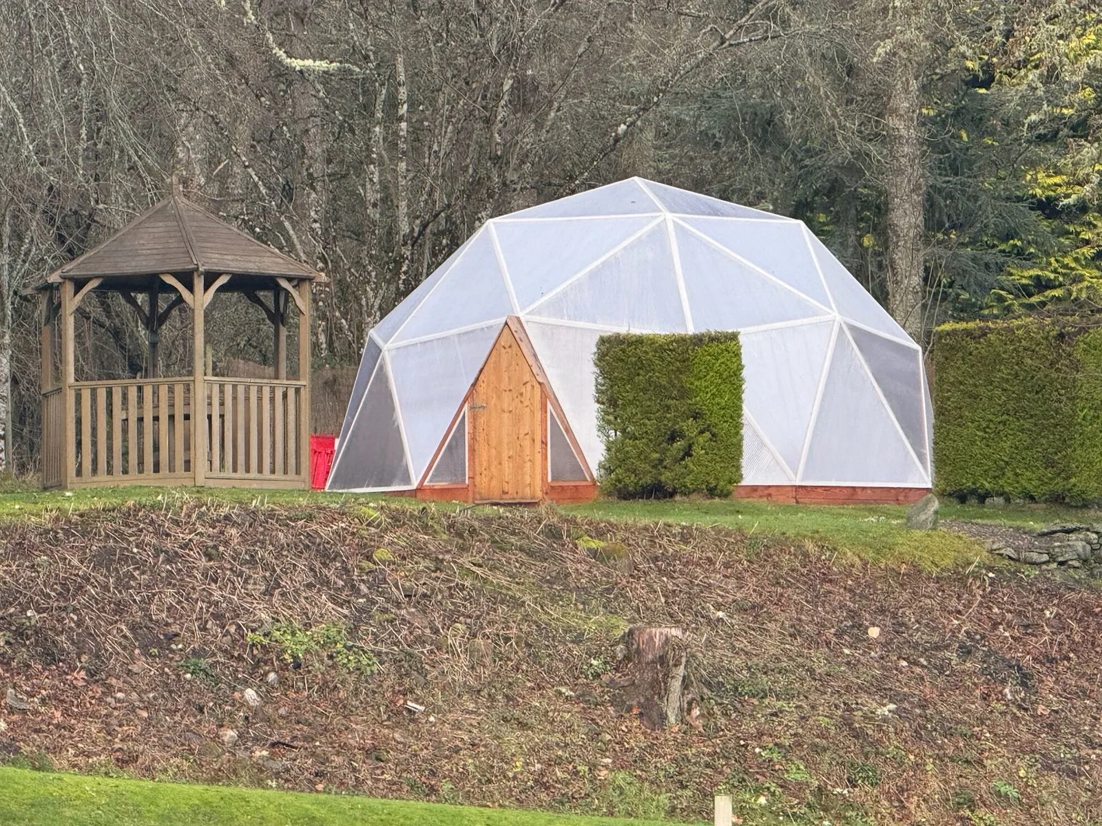 7.8m community growing dome - spacious geodesic greenhouse for schools and community gardens